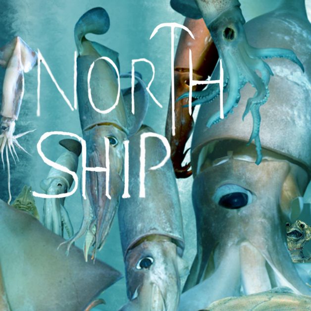 North Ship Plastic House