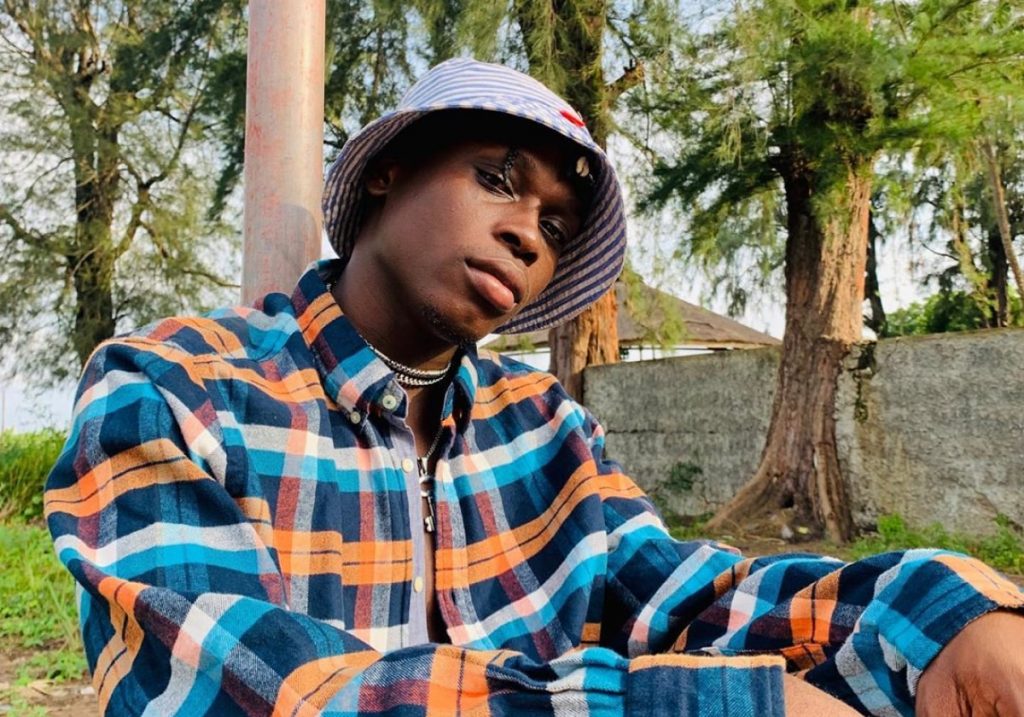 Fireboy DML net worth