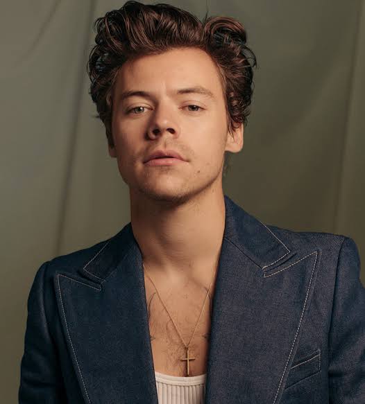 Harry Styles Biography: Age, Net Worth, Profile & Videos | Biography Web